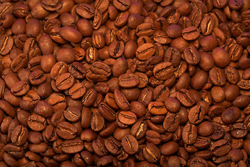 Image showing Coffee beans