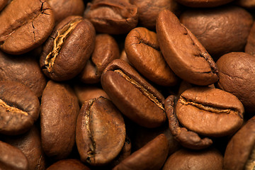 Image showing Coffee beans