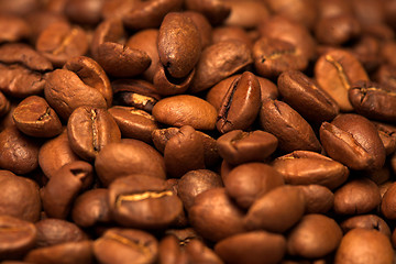 Image showing Coffee beans