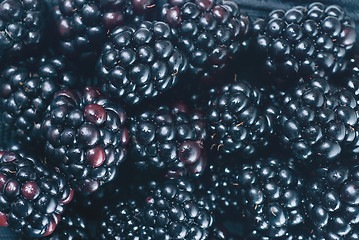 Image showing background from blackberry