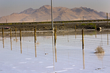 Image showing Salt Lake Shore