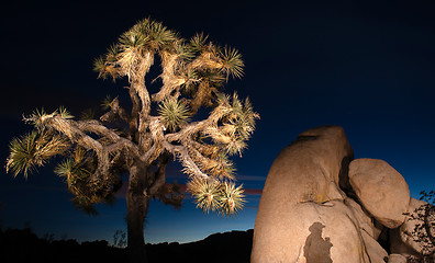 Image showing Sunset Shadow Rock Formation Joshua Tree National Park