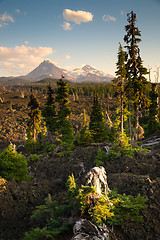 Image showing Mckenzie Pass Three Sisters Cascade Mountain Range Lava Field