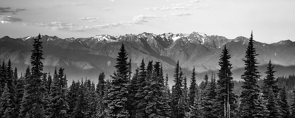 Image showing Early Morning Light Olympic Mountains Hurricane Ridge