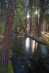 Image showing Fast Moving Stream Hat Creek Lassen National Forest