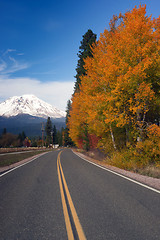 Image showing Autumn Finds Foliage Rural Road McCloud California Mount Shasta