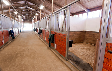 Image showing Horse Barn Animal Sport Paddock Equestrian Ranch Racing Stable