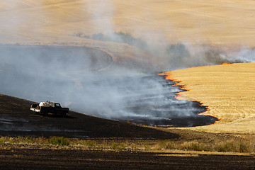 Image showing Agriculture Worker Burns Plant Stalks After Harvest Ground Fire 