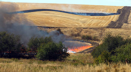 Image showing Farmers Working Controlled Burn Intentional Agricultural Fire