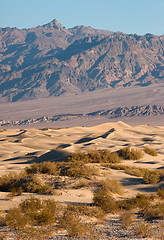 Image showing Sand Dunes Death Valley Desert Mesquite Flat Grapevine Mountains