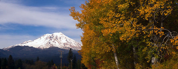 Image showing Mt Shasta Rural Fall Color California Nature Outdoor