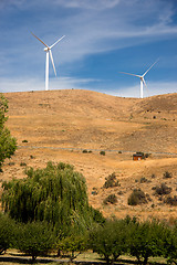 Image showing Green Energy Wind Generators Dot Landscape Eastern Washington