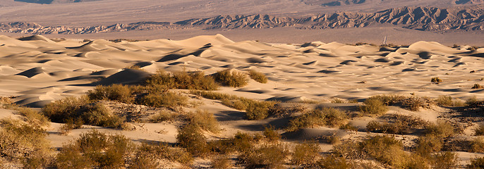 Image showing Sand Dunes Death Valley Desert Mesquite Flat Grapevine Mountains