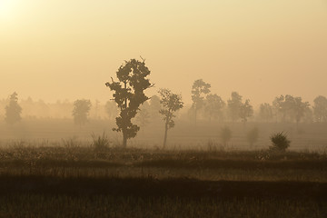 Image showing ASIA THAILAND ISAN AMNAT CHAROEN