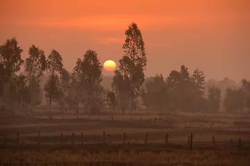 Image showing THAILAND