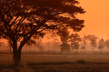 Image showing ASIA THAILAND ISAN AMNAT CHAROEN