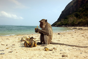 Image showing ASIA THAILAND HUA HIN KHAO SAM ROI YOT