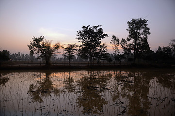 Image showing ASIA THAILAND ISAN AMNAT CHAROEN