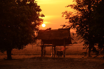 Image showing ASIA THAILAND ISAN AMNAT CHAROEN