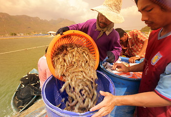 Image showing ASIA THAILAND HUA HIN KHAO SAM ROI YOT