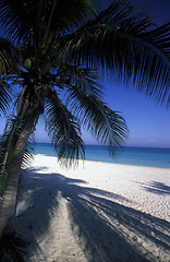 Image showing AMERICA CUBA VARADERO BEACH