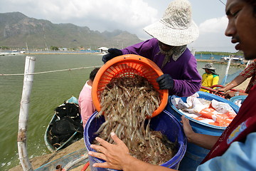 Image showing ASIA THAILAND HUA HIN KHAO SAM ROI YOT