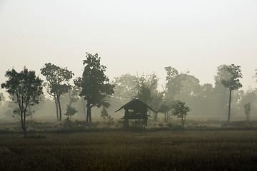 Image showing ASIA THAILAND ISAN AMNAT CHAROEN