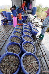 Image showing ASIA THAILAND HUA HIN KHAO SAM ROI YOT