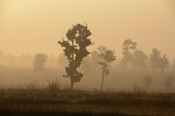 Image showing ASIA THAILAND ISAN AMNAT CHAROEN