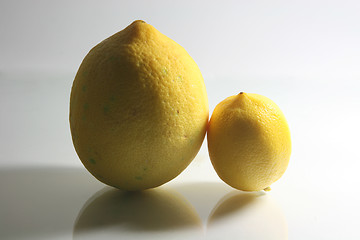 Image showing two lemons vertical