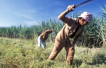 Image showing AMERICA CUBA HOLGUIN