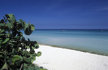 Image showing AMERICA CUBA VARADERO BEACH