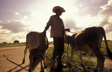 Image showing AMERICA CUBA HOLGUIN