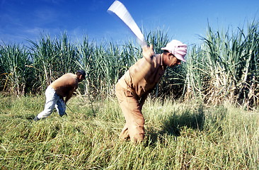 Image showing AMERICA CUBA HOLGUIN