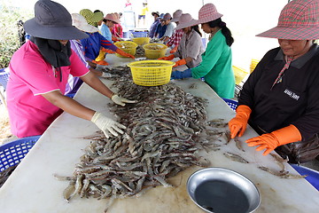 Image showing ASIA THAILAND HUA HIN KHAO SAM ROI YOT