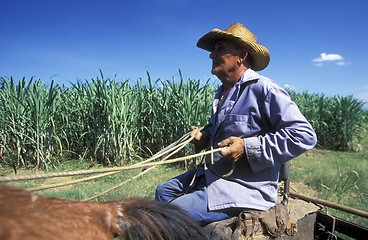 Image showing AMERICA CUBA HOLGUIN