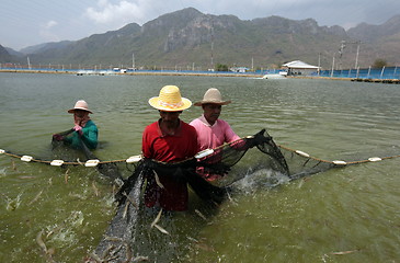 Image showing ASIA THAILAND HUA HIN KHAO SAM ROI YOT