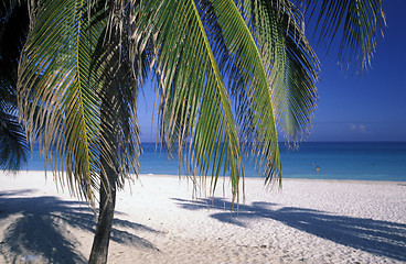 Image showing AMERICA CUBA VARADERO BEACH