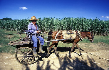 Image showing AMERICA CUBA HOLGUIN