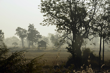 Image showing ASIA THAILAND ISAN AMNAT CHAROEN