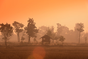 Image showing ASIA THAILAND ISAN AMNAT CHAROEN