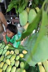 Image showing ASIA THAILAND HUA HIN KHAO SAM ROI YOT