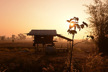 Image showing ASIA THAILAND ISAN AMNAT CHAROEN