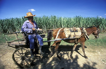 Image showing AMERICA CUBA HOLGUIN