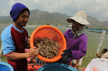 Image showing ASIA THAILAND HUA HIN KHAO SAM ROI YOT