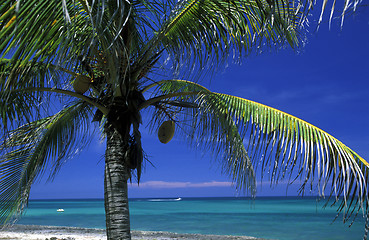 Image showing AMERICA CUBA VARADERO BEACH