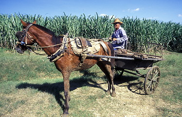 Image showing AMERICA CUBA HOLGUIN