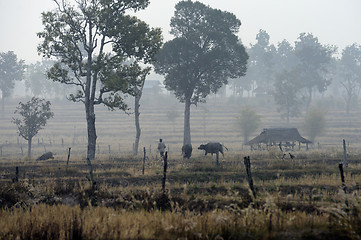 Image showing ASIA THAILAND ISAN AMNAT CHAROEN