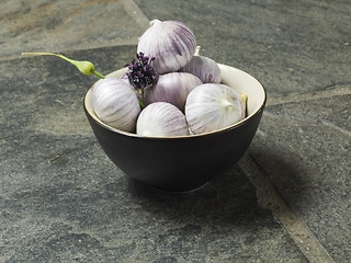 Image showing garlic