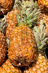 Image showing Pineapples for sale